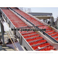 High efficiency tomato jam/fruit jam processing line